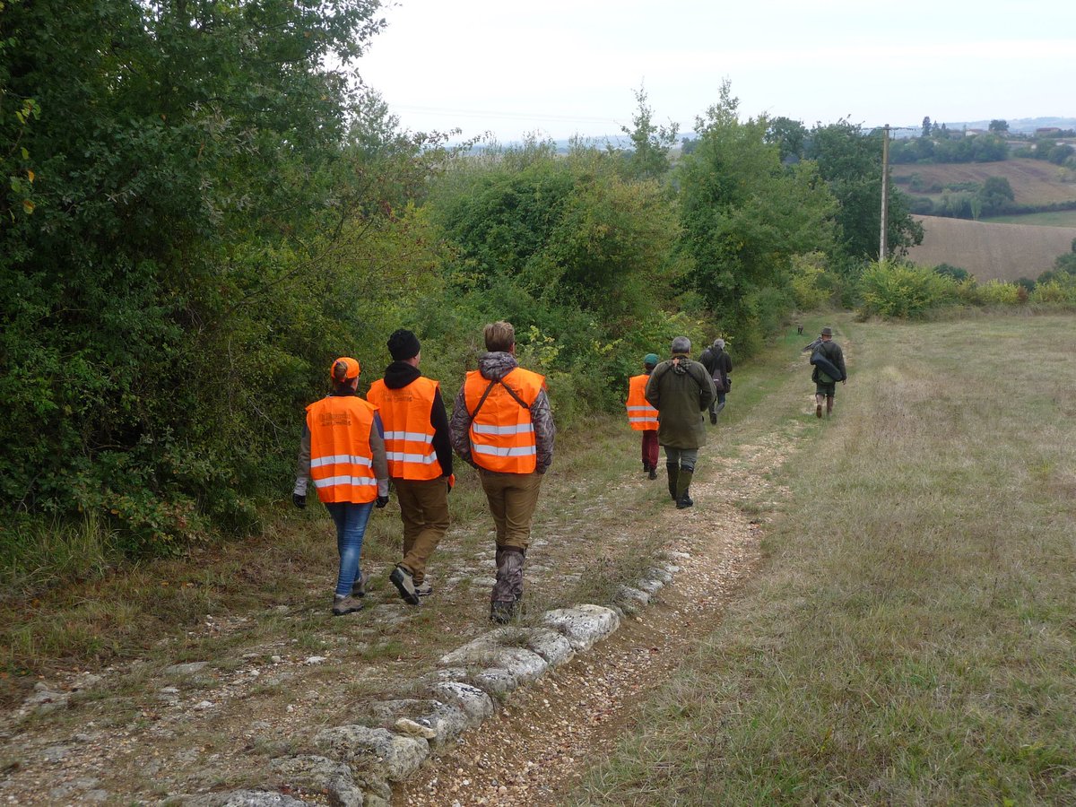 DimancheChasse's tweet photo. De très belles photos dans le #LotetGaronne lors de l'opération #dimanchechasse https://t.co/wk0O9jkUh2