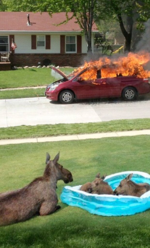 Watching some reality tv with the kids #Election2016