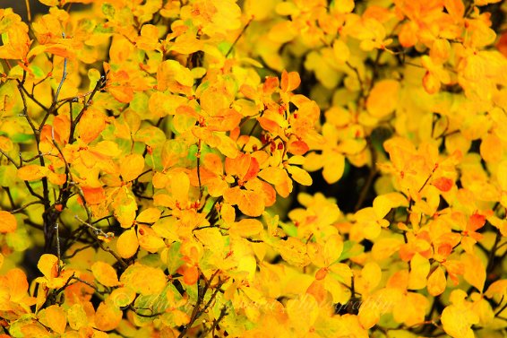 QuestionDeJour's tweet image. Are you shocked? What now? What do you think this means for the future?