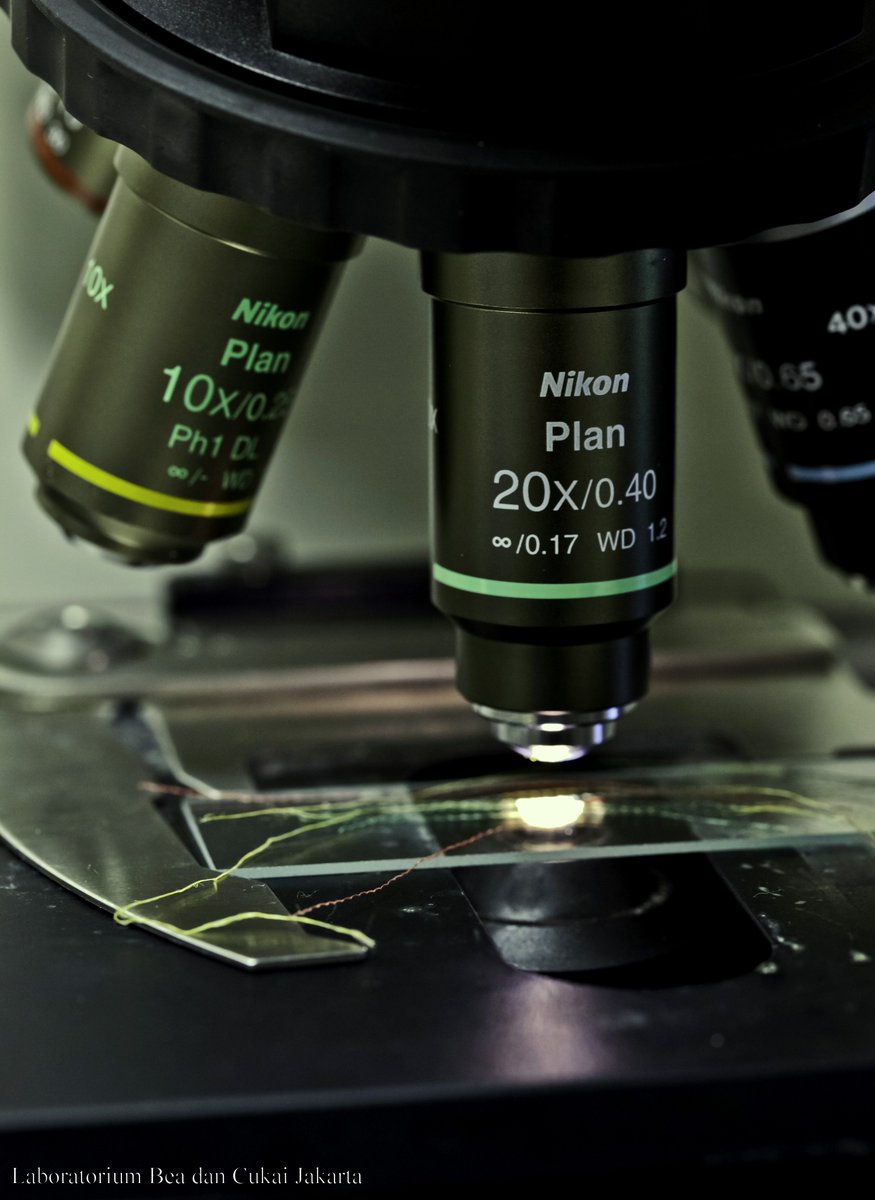 beacukailabjkt's tweet image. @LabBeaCukai 
#customslaboratory
#todaypost
#microscopeanalysis
#microscope
#textile
#fiber
#fibertextileanalyisi
#chemicalanalyst
#beacukai
