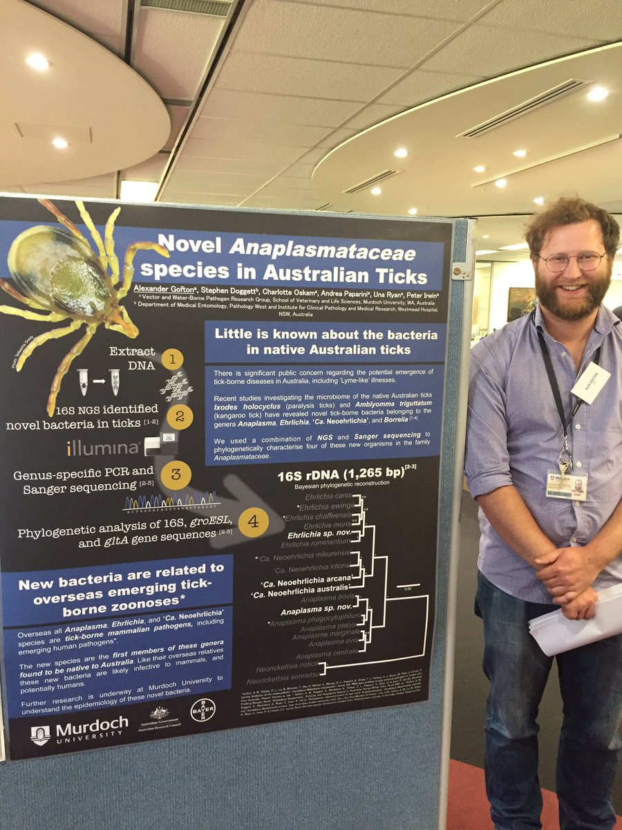 cryptick_lab's tweet image. 2/5 @AlexanderGofton presents his novel #neoehrlichia #anaplasma &amp;amp; #ehrlichia spp research @ #VLSposterday16 @VetLifeScience @MUniResearch