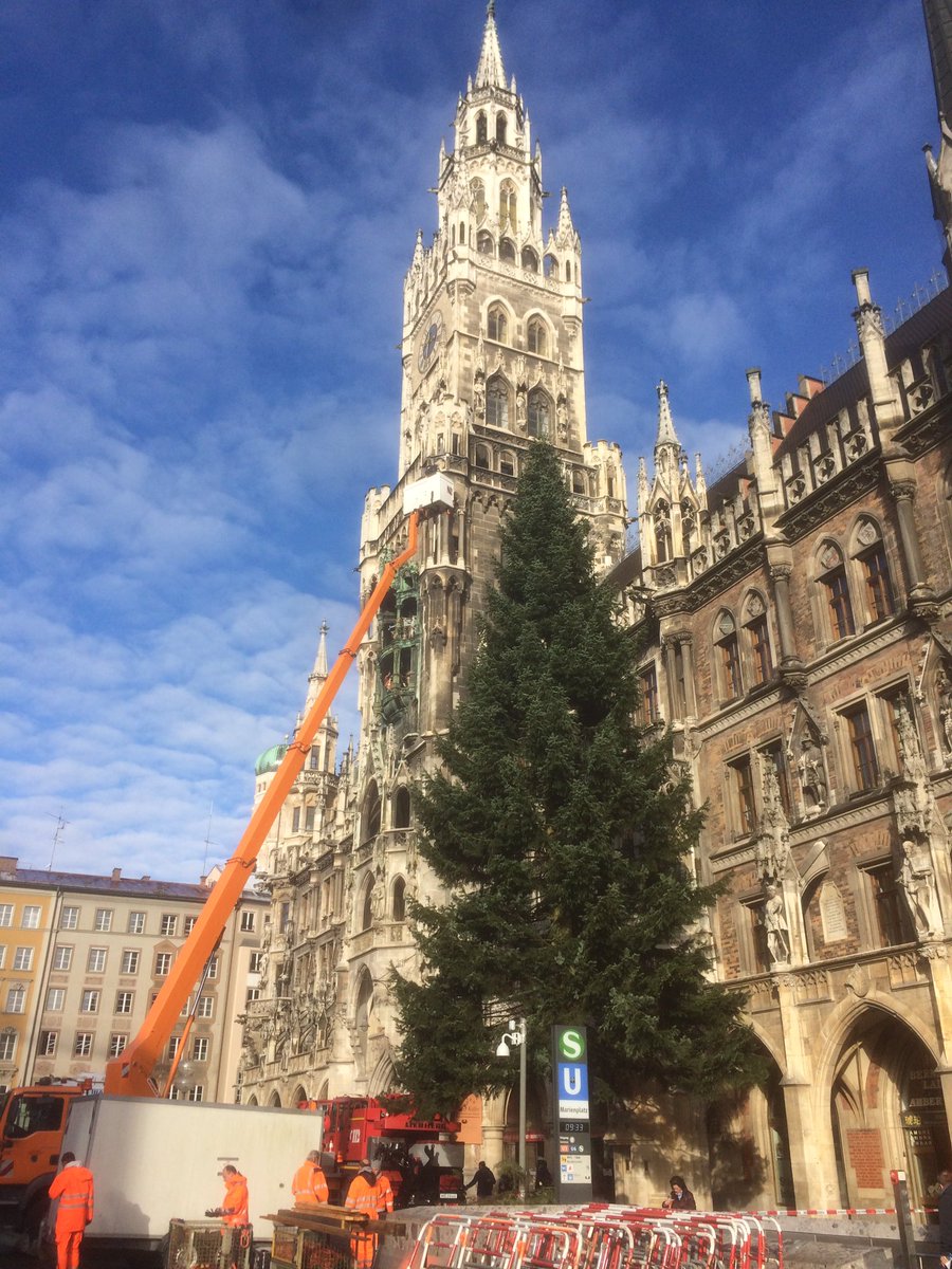 Trotz Trump: Die Sonne ist aufgegangen, und vor dem Rathaus steht wie jedes Jahr ein großer grüner Baum
