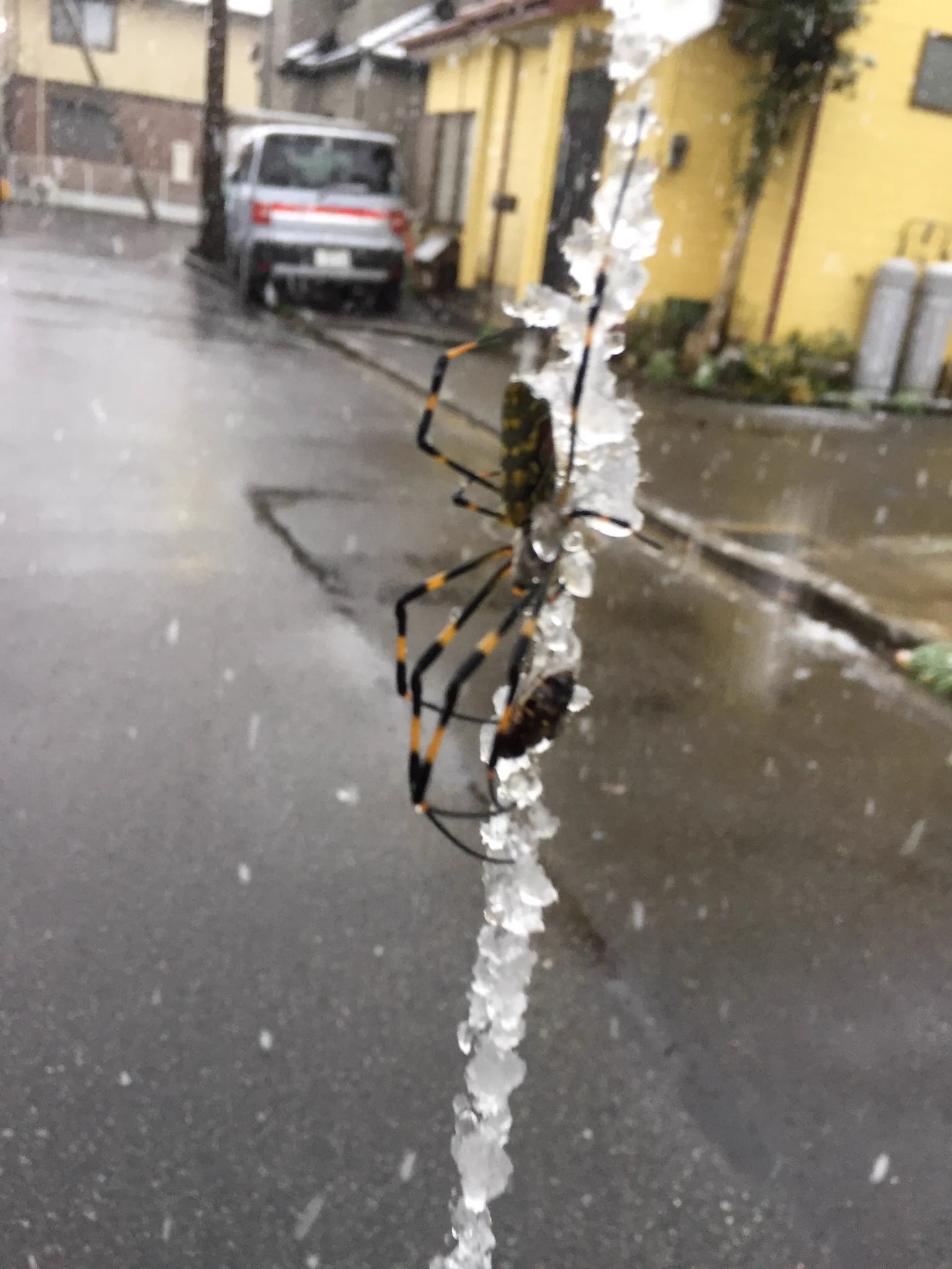 もはや芸術！？空間の一箇所だけ時間が止まっていると思いきや？