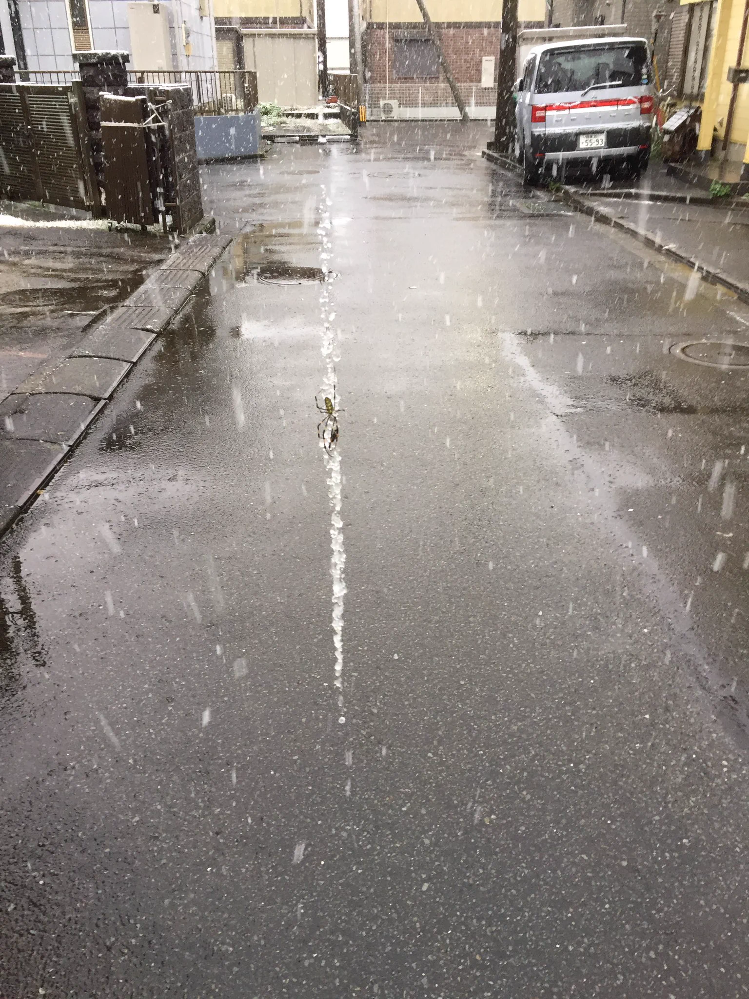 もはや芸術！？空間の一箇所だけ時間が止まっていると思いきや？