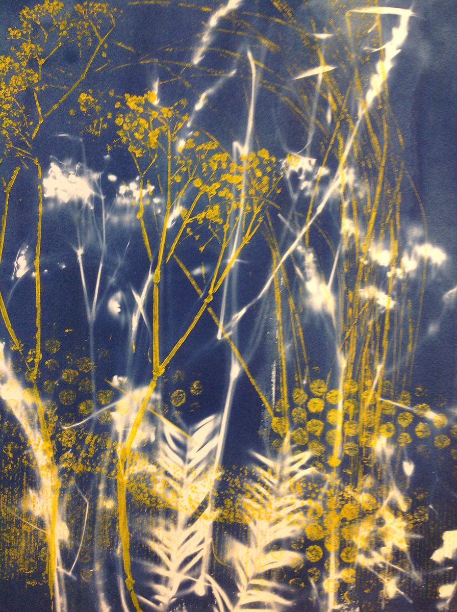 #Artisthour Recently I've been working on Cyanotypes for my university work. Here's a preview of what I'm creating. #art #photography