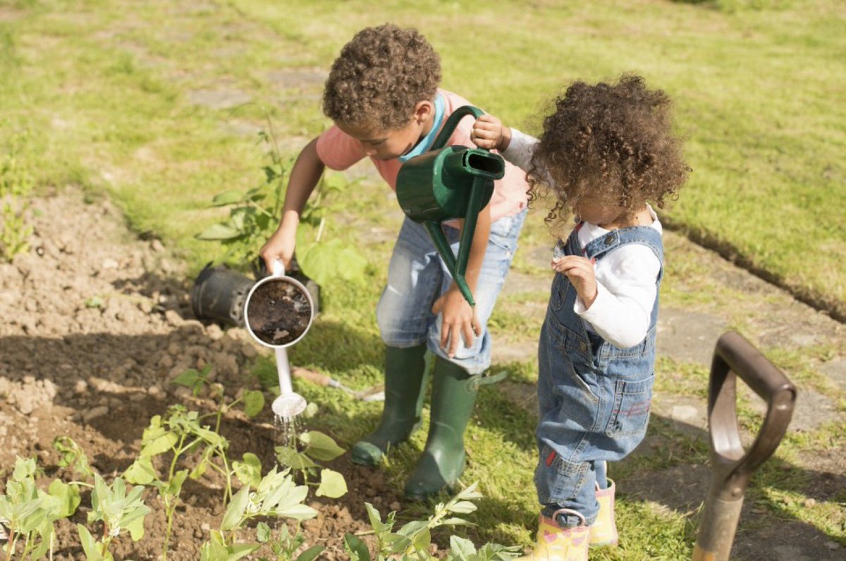 curiositypack's tweet image. 5 lessons I taught my #children about the food on their plate. wapo.st/2gdLJkD @washingtonpost #parentingarticle #gardening #kids