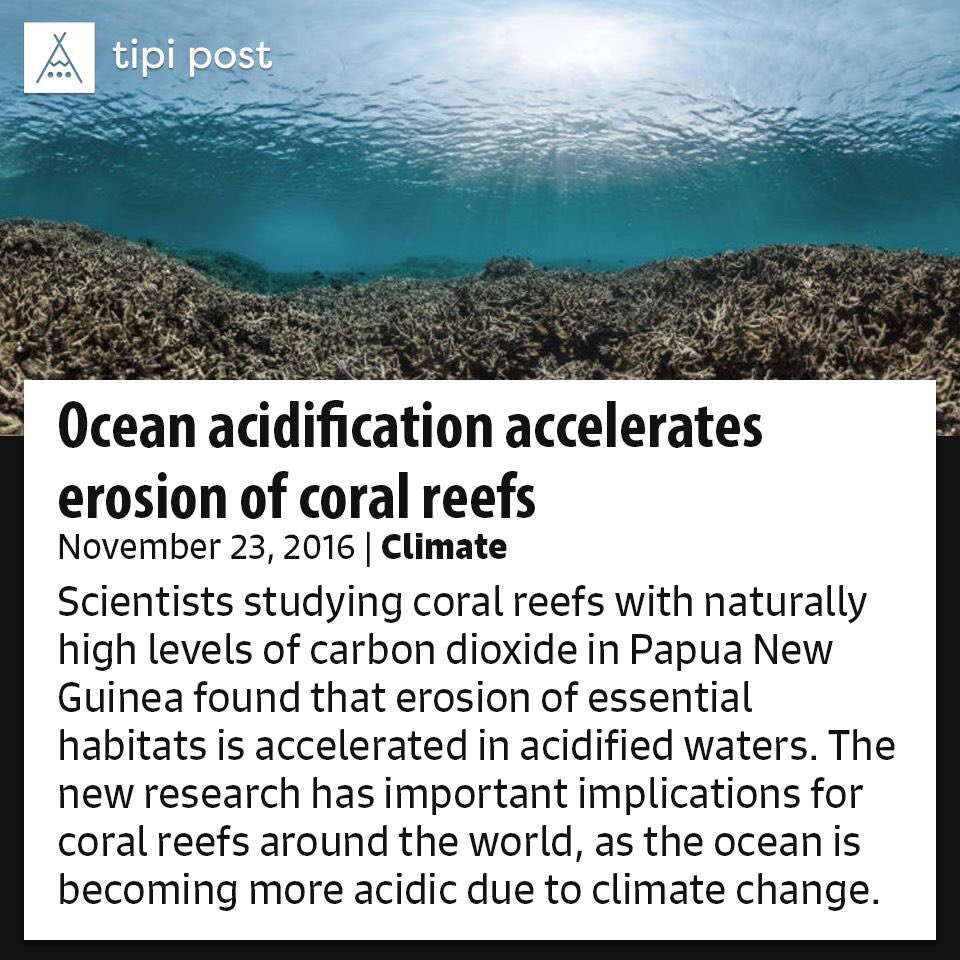 tipipost's tweet photo. Ocean #acidification accelerates erosion of #CoralReefs https://t.co/tcqqW52quX https://t.co/64IbXT45mC