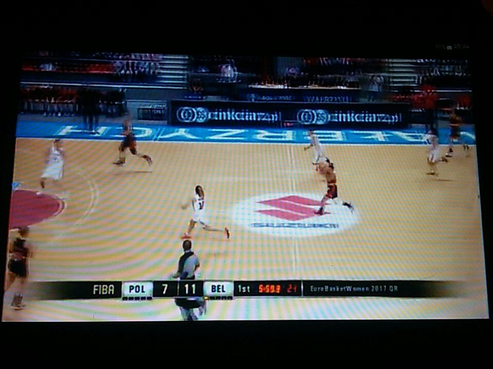 AmlieHerman's tweet photo. Come on Belgium! @TheBelgianCats https://t.co/GyzPKZODZ0