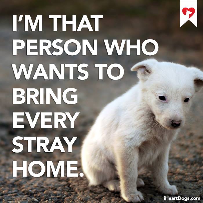 myfriend_bella's tweet photo. Retweet if this is you!
https://t.co/KWIH0ZScod
#dogs #travel #animals #America https://t.co/KEiM9YoKgI