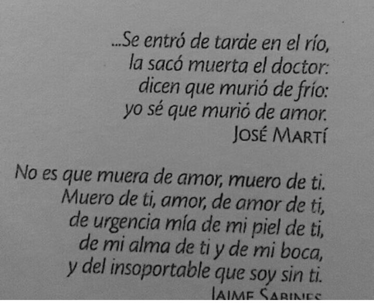 Cementedelibros's tweet photo. Dos textos a falta de uno 😬
Libro: manual para no morir de amor
Autor: Walter Riso
#cementeriodelibros https://t.co/0yU5dBxrEI