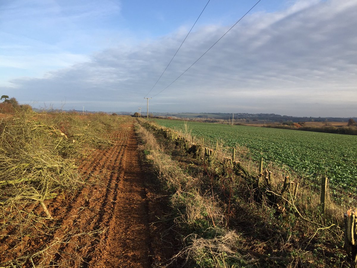 dg_hopper's tweet image. hedge cutting today, letting the light in #hedgecutting #treeshear #Oxfordshire #VolvoCEGB