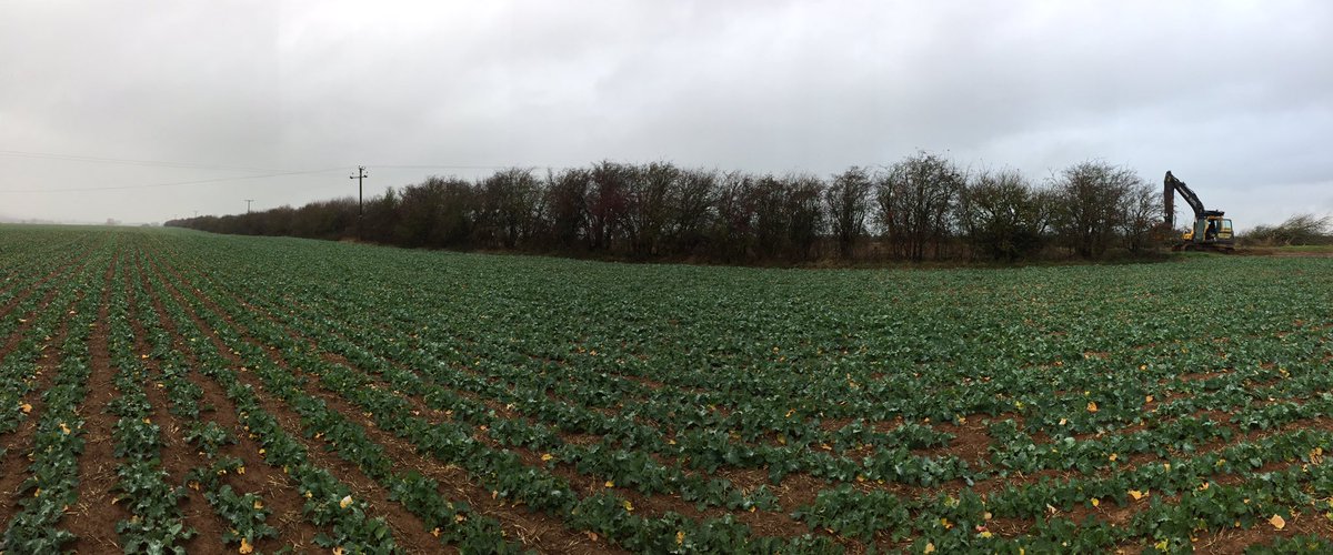 dg_hopper's tweet image. hedge cutting today, letting the light in #hedgecutting #treeshear #Oxfordshire #VolvoCEGB