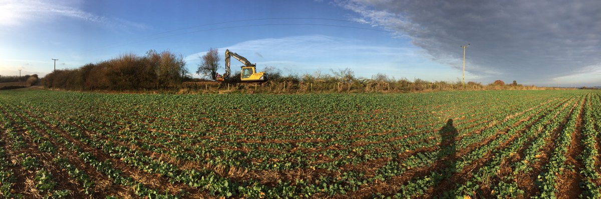 dg_hopper's tweet image. hedge cutting today, letting the light in #hedgecutting #treeshear #Oxfordshire #VolvoCEGB