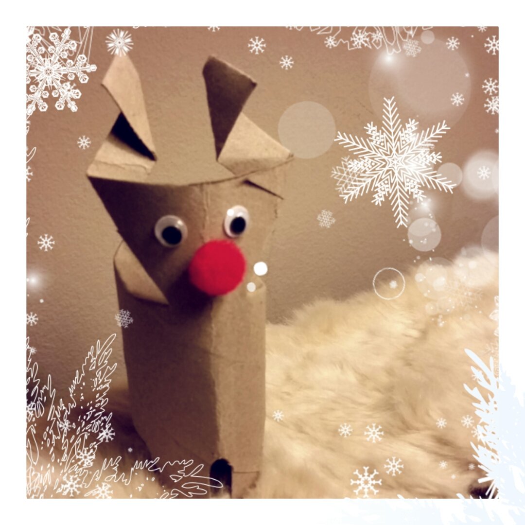 ClaireDeniseY's tweet photo. @caspertissue #hoppyfun I'd love to make my Rudolph loo roll Reindeer a Casper the Rabbit friend this Christmas! https://t.co/JOWROuj3U0