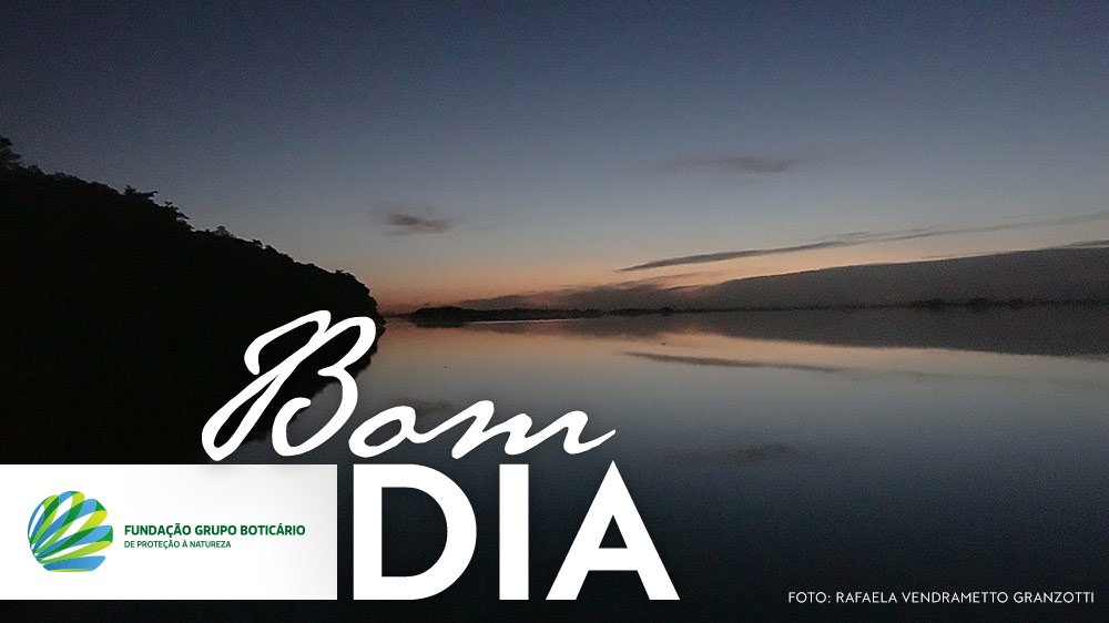 Fundação Grupo Boticário on Twitter: Fundação Grupo Boticário on Twitter:
