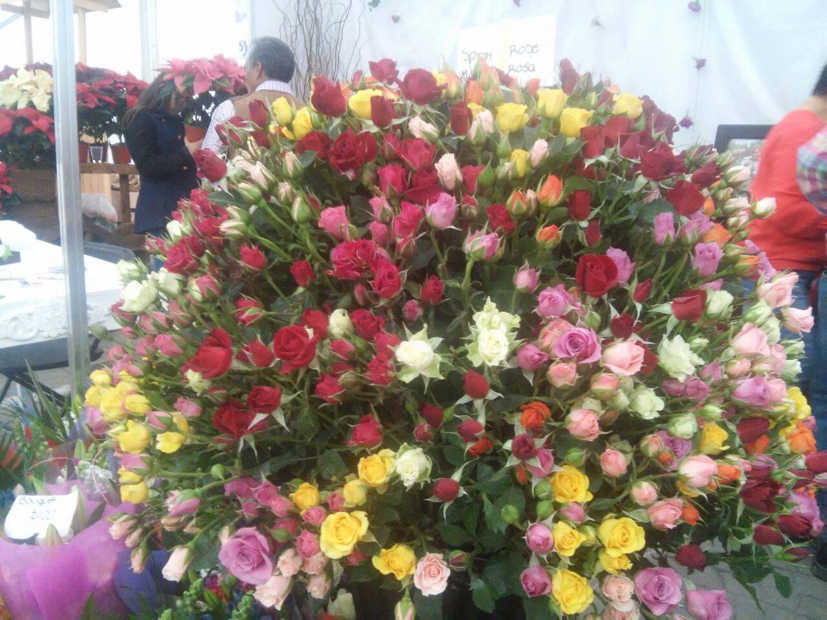 ViIIaGuerrero's tweet photo. 📷 #Fotogalería Inició la #ExpoFlor 2016 en el Parque Ambiental Bicentenario, donde participan nuestros floricultores
https://t.co/IkuDS0CFgK https://t.co/eY31HXy4de