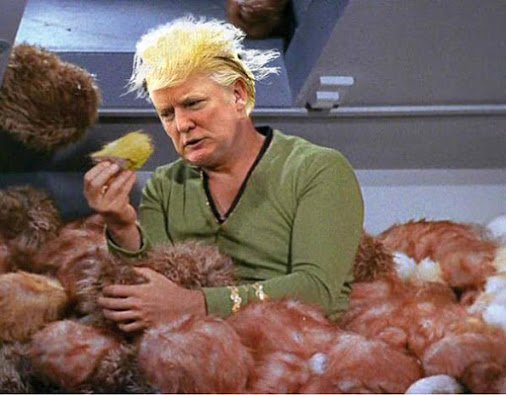 Space_Ventures_'s tweet photo. https://t.co/1cRqcNbMdK https://t.co/1cRqcNbMdK What a Trump space policy might be like ... https://t.co/8nJU7dF3V3&amp;quot;