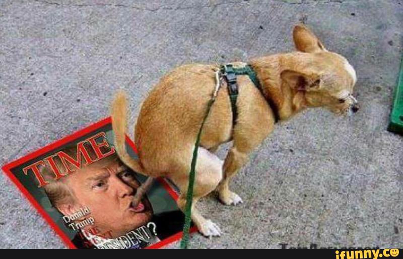 tattooingitup81's tweet photo. #notmypresident #protest #shittyman #trumpdump #hatetrump #trumphater #AuditTheElection https://t.co/hFf4EeTUl0