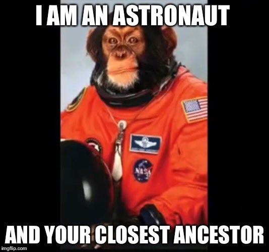 NothingSirius's tweet photo. @raynasty84 @YouTube sure does😂guess that concludes your "proof"
🙊🙈🙉
#FakeISS #FakeEvolution #FakeSpace #FakeBallEarth🌎
#FlatEarth win! https://t.co/M1ExwXi9hl