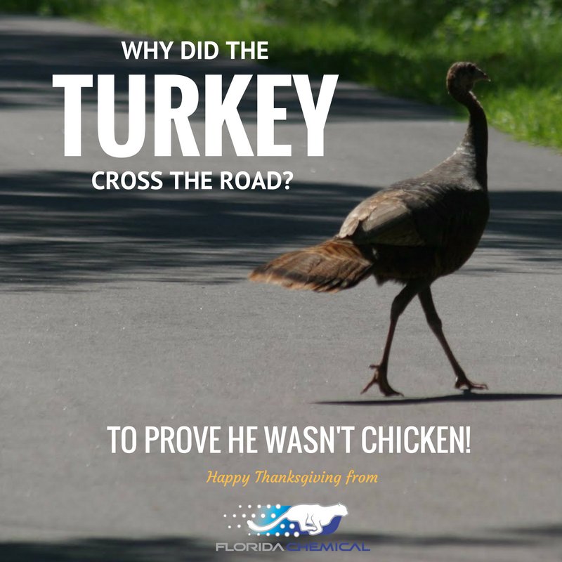 FloridaChemical's tweet photo. #HappyThanksgiving from #FloridaChemical! https://t.co/lhNFw4Qzc9
