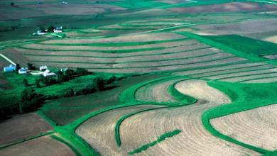 craigderickson's tweet photo. Giving Thanks for Conservation - Lots to be thankful for in Nebraska with conservation partnership, NRD system, and University of Nebraska. https://t.co/dadoBWK04O