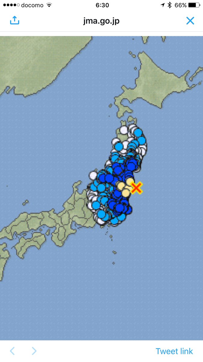 View image on Twitter