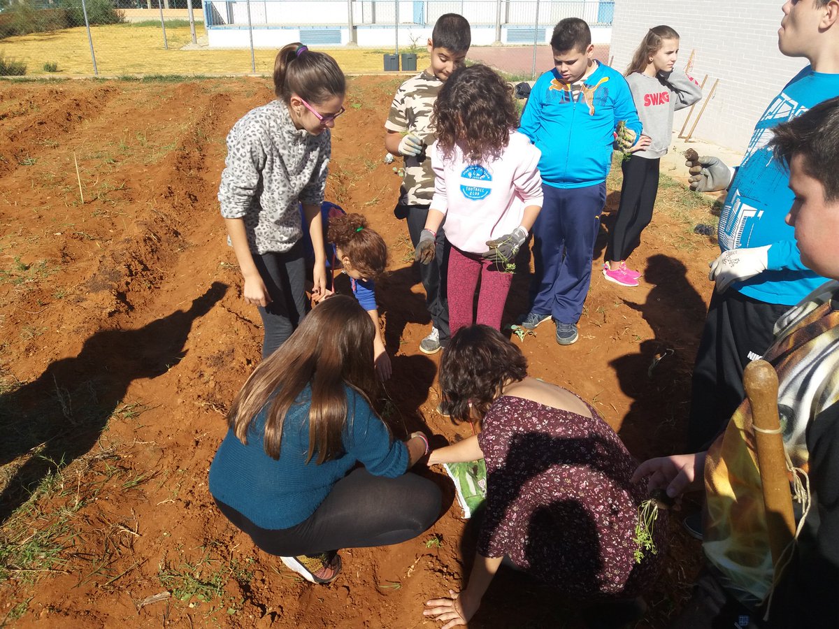 ppgarr's tweet photo. @EcoIESChN Nuestro huerto, también vector de integración para alumnado NEAE @Autismo_Sevilla Gracias a Nieves, Laura y Esther ¡Grandes! https://t.co/CnsMD3f2jj