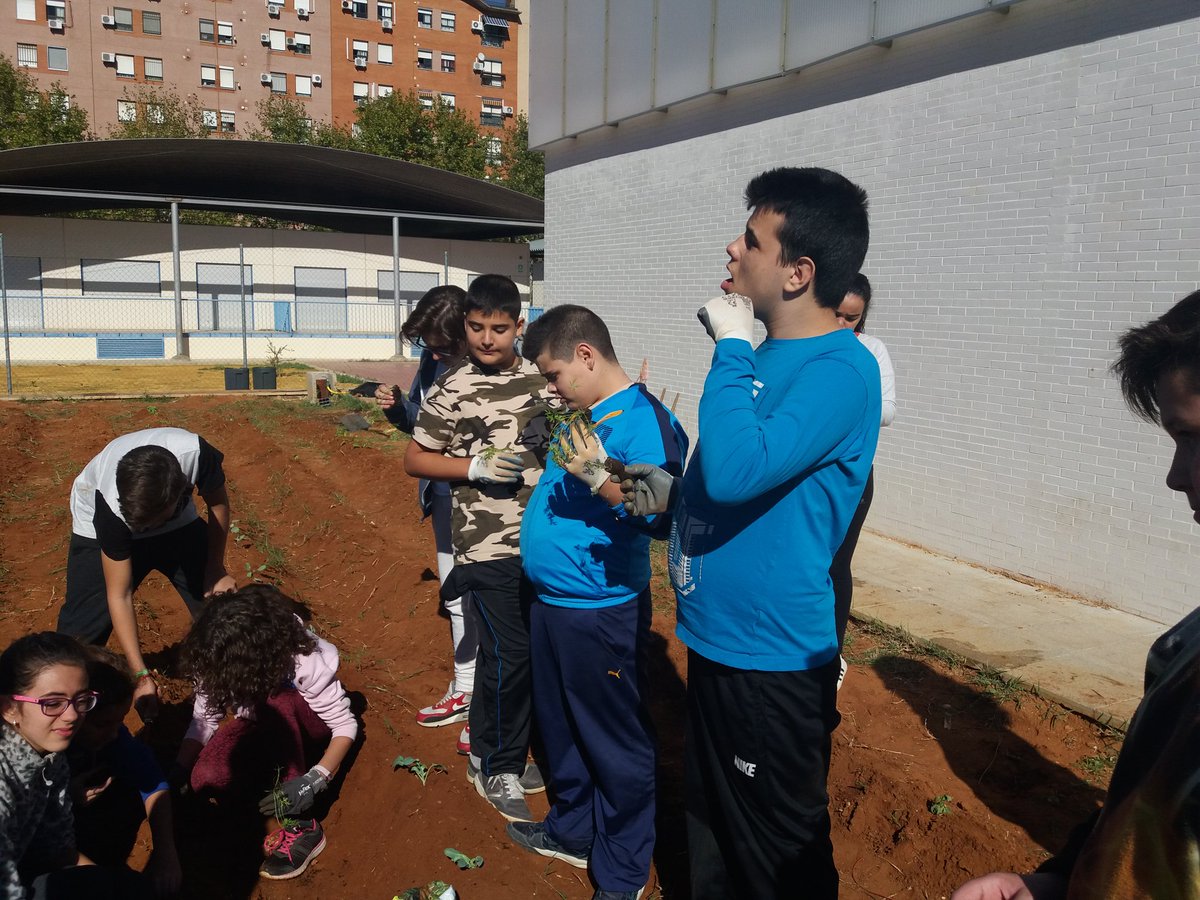 ppgarr's tweet photo. @EcoIESChN Nuestro huerto, también vector de integración para alumnado NEAE @Autismo_Sevilla Gracias a Nieves, Laura y Esther ¡Grandes! https://t.co/CnsMD3f2jj