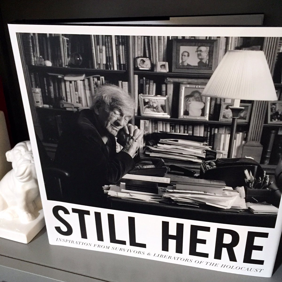 Liene Stevens tweet media