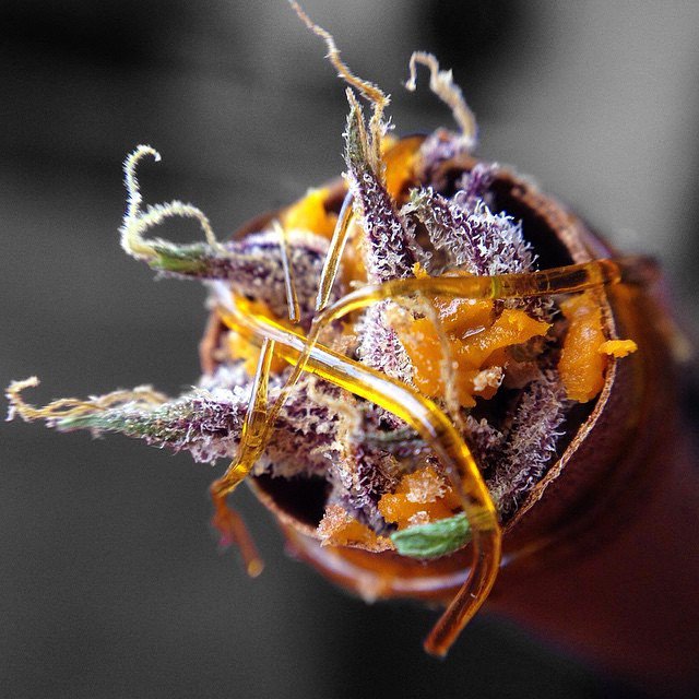 CamModels3's tweet image. &amp;lt;3