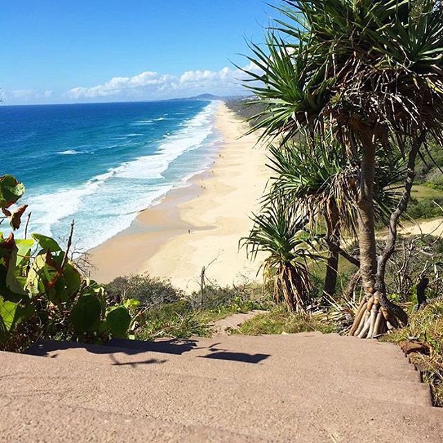 Surfer Lyfe tweet media