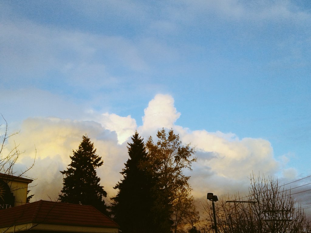 DustinKAnderson's tweet image. GOD'S stage with podium. Still absent sure...for you...but for @realDonaldTrump BAHAHA!!! Sorry, im not sorry. Fate is undeniable. #imTruth