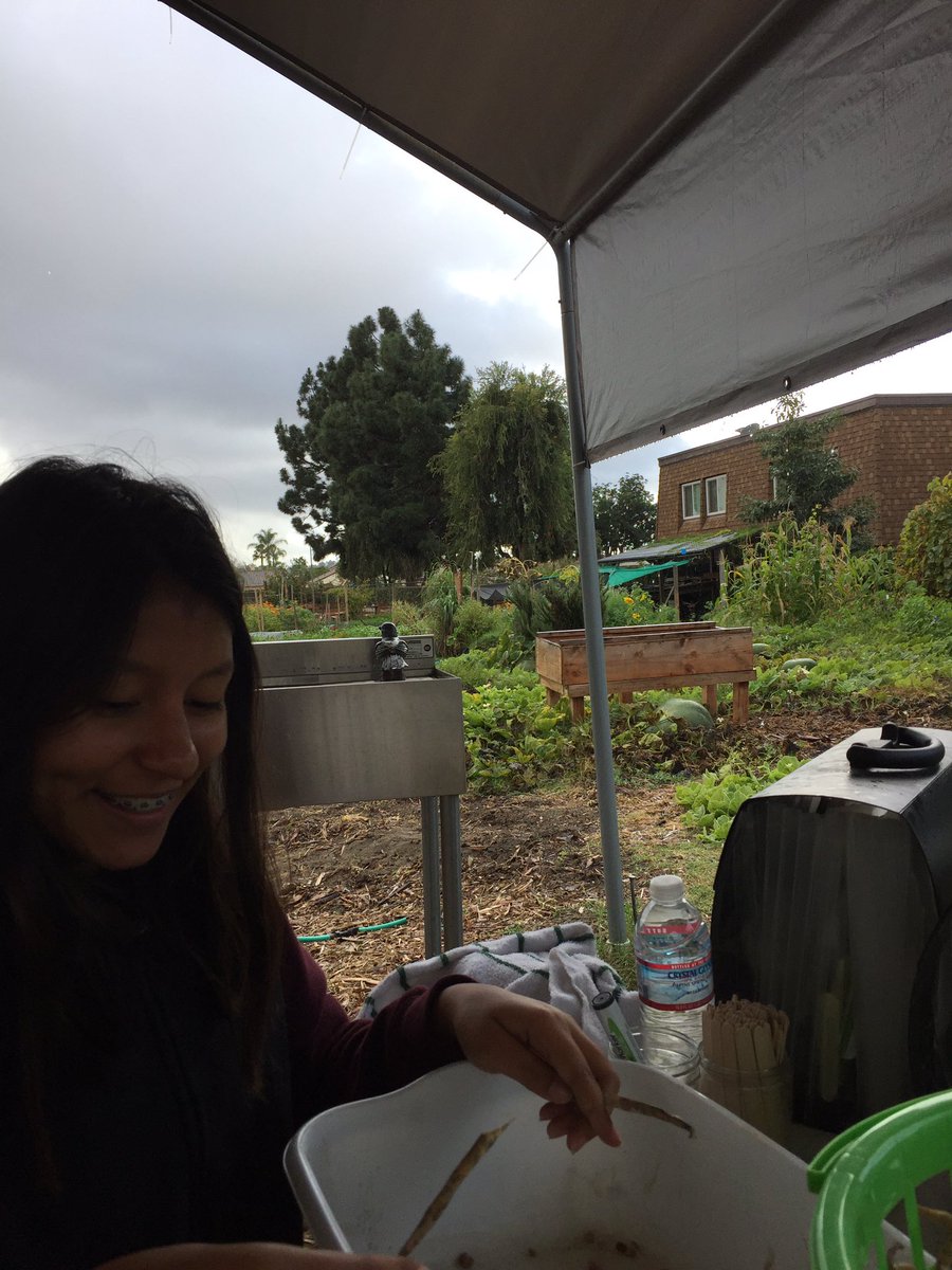 rbvtrees's tweet image. Parents below the poverty line can send their child to this free preschool with organic food! We were happy to help garden for the kids😊🌿