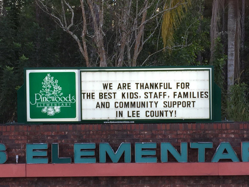 Pinewoods tweet media