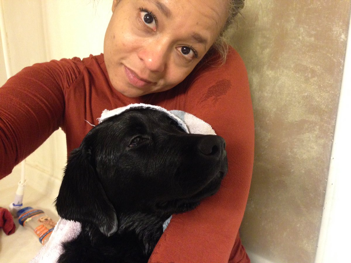 LaTreallMaddox's tweet image. Someone fell asleep in the shower... still sopping wet &amp;amp; snoring
She didn&apos;t even work a full day! #GuideDogTraining #MustBeGrowing