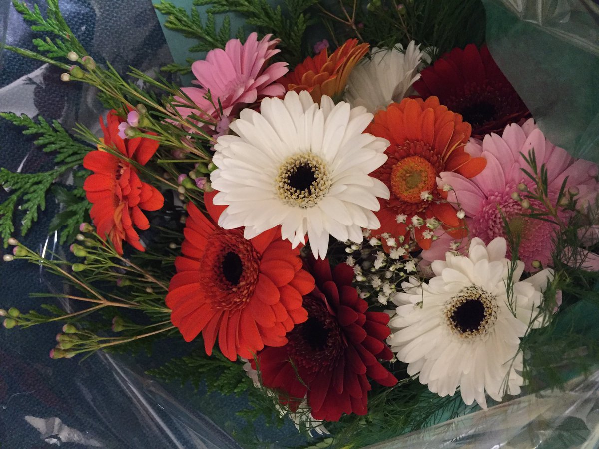 brenda_slomka's tweet image. this and that. #home #trfd