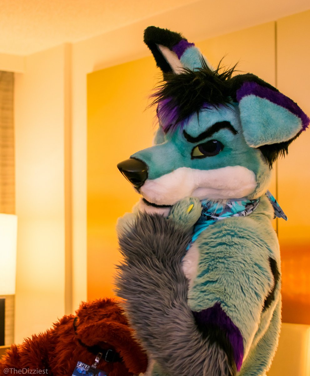 TheDizziest's tweet photo. Most dogs are good dogs... except @SnugsNotDrugs. He's questionably a bad dog~ ๐ย #MFYMonday #FWA2016 https://t.co/J1nOkYyzQy