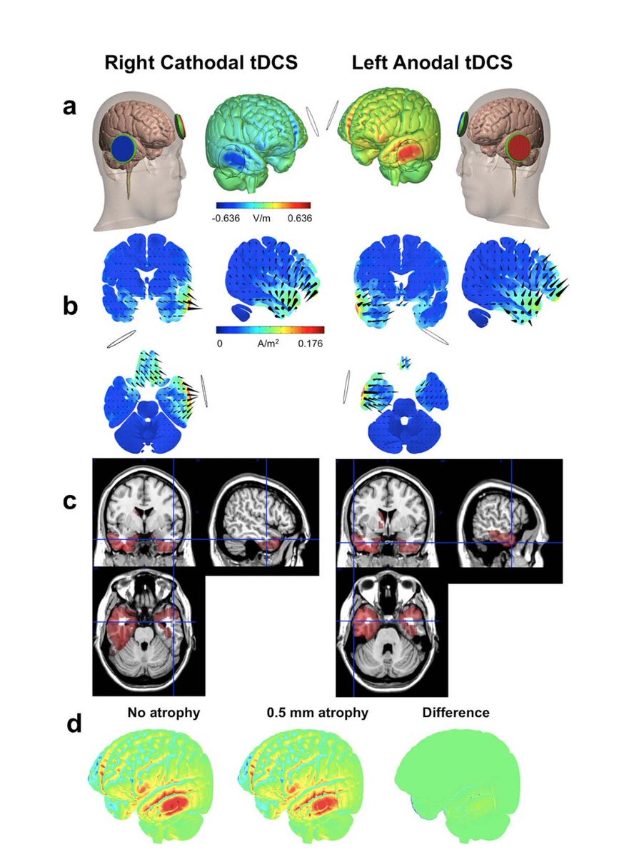 download fracture and fatigue emanating from stress concentrators 2010