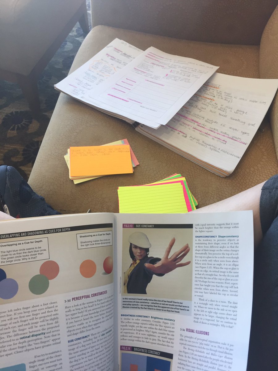 mary_deacetis's tweet photo. My sister is currently in New York and I'm struggling to study for my 3 exams tomorrow #30morehours https://t.co/tPGrAabI40