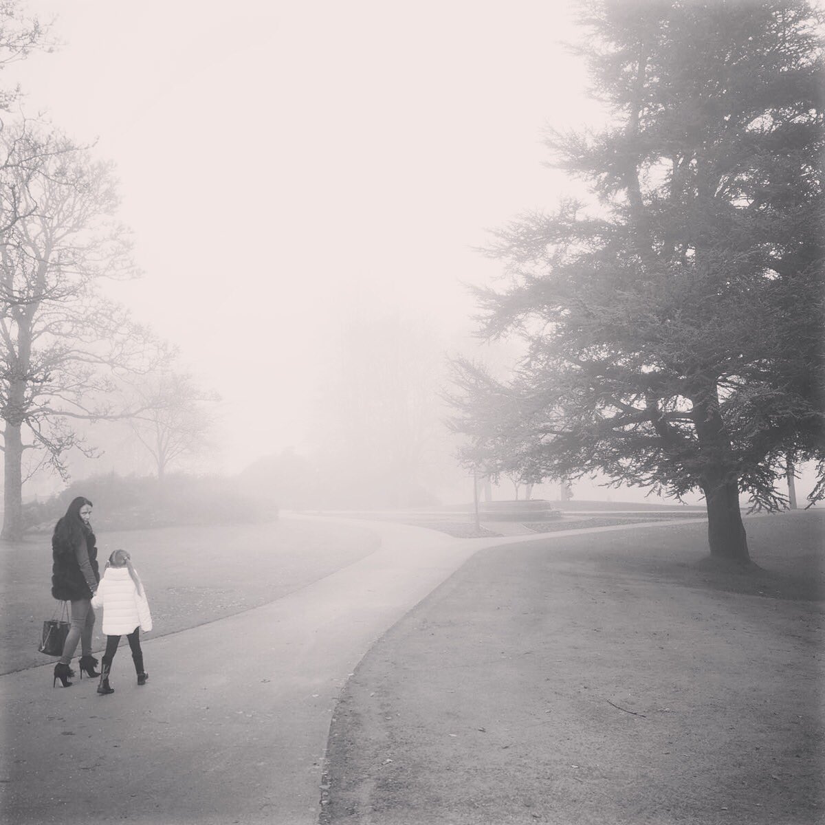Morning stroll <a href="/Gleneagleshotel/">Gleneagles</a> #loveglen #asteriabridal