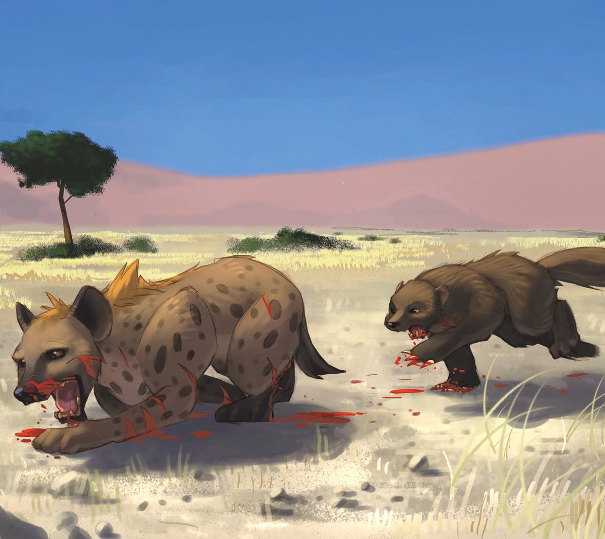 whod_win's tweet photo. The ferocity of an animal makes a big difference in determining who'd Win. #Wolverine vs. #Hyena #WhodWin #animals https://t.co/dwIqxiEsoB