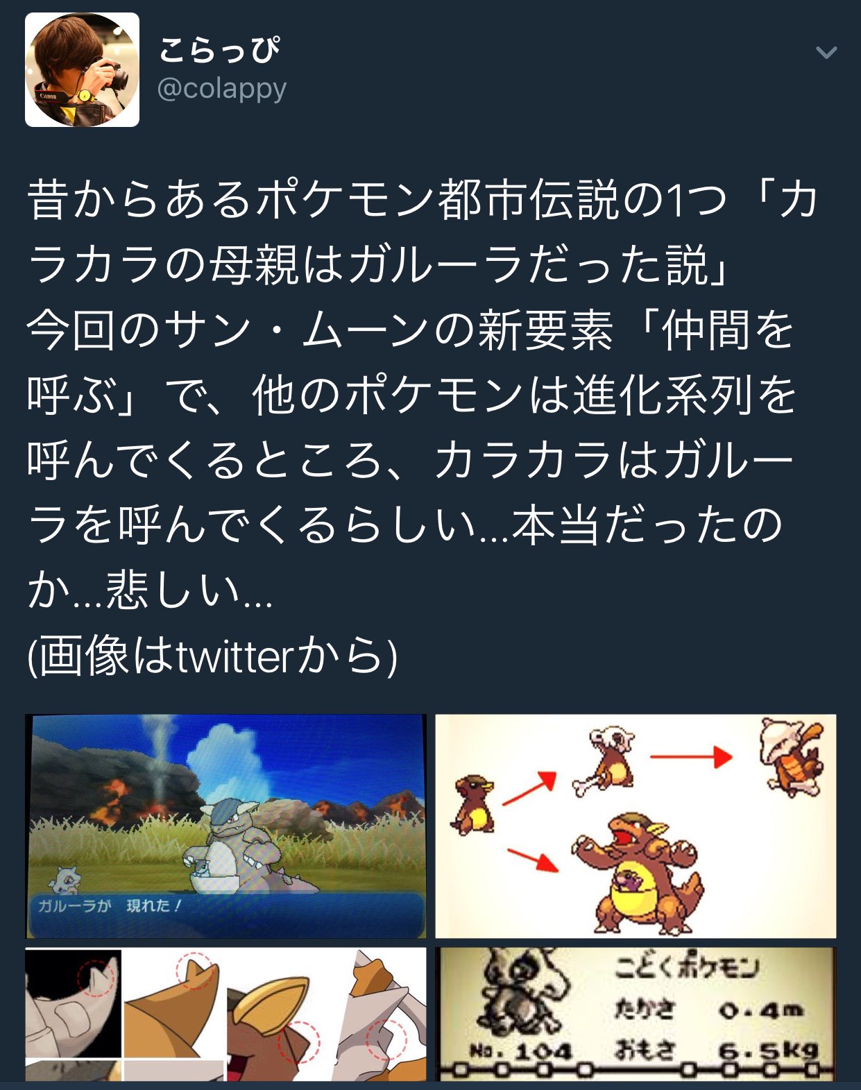 チャッピー 必ず進化系列を呼ぶ訳では無い 例えばミミッキュはミミッキュではなくゴーストをよぶ 2枚目から分かるようにカラカラ の親はガルーラではない 可能性があったとしても人間とチンパンジーの違いみたいなものだ T Co Slccfit7oo Twitter