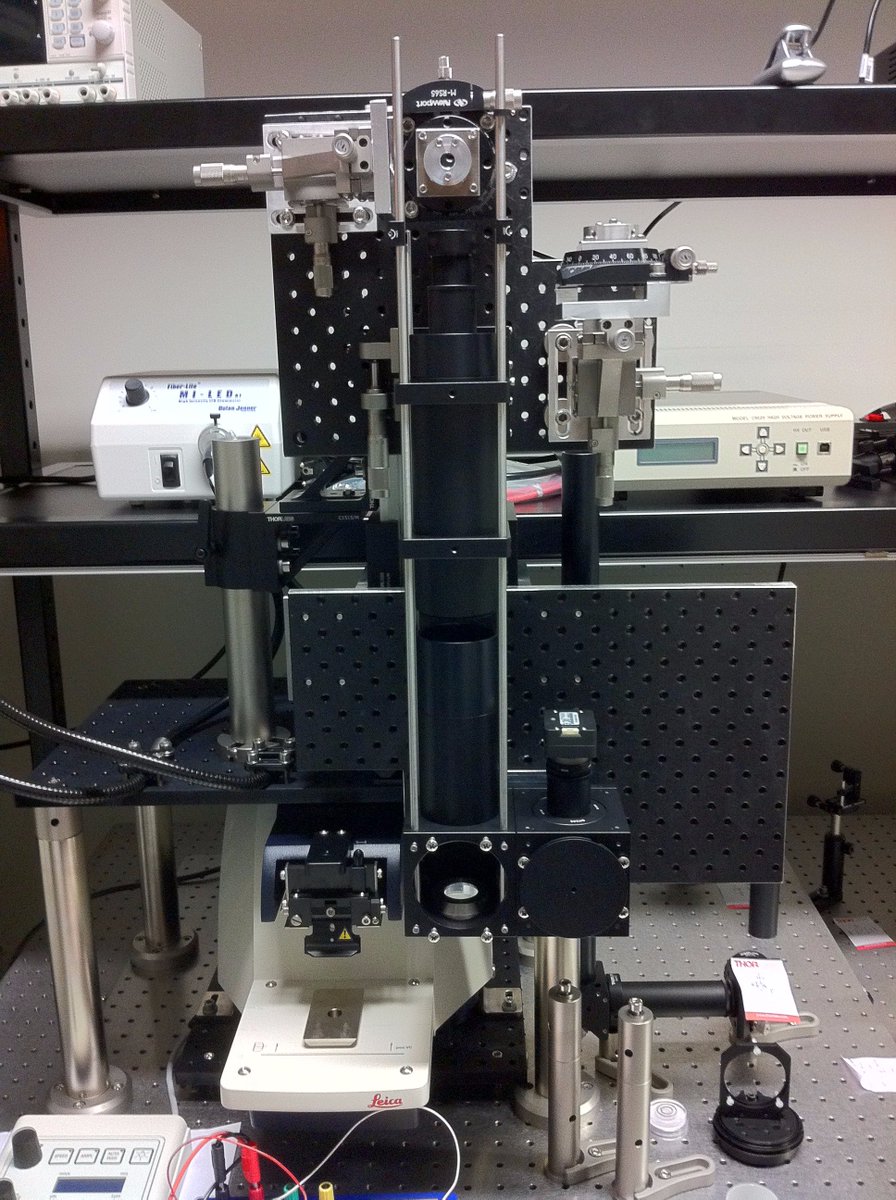 david_chen_lee's tweet photo. The microscope keeps growing... #MyersLab https://t.co/XPFICU297x