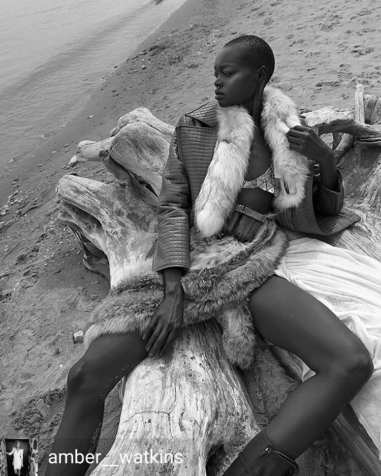 Ronald T tweet media