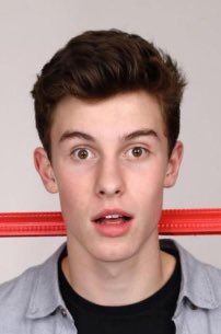 lightsonstyless's tweet photo. When shawn looks at me i go like : IS HE REALLY LOOKING AT ME ! YAYYYYYY ! https://t.co/9FATasTNCW