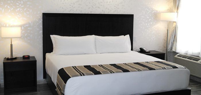 Starsinnleduc's tweet photo. BOOK NOW! Standard king room only 109.00 plus tax per night. #Edmonton #Leduc #Edmontoninternationalairport #Booknow https://t.co/bd6NijoBac