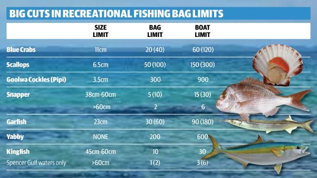 TomtekOutdoors's tweet photo. Shoutout to #Ozfishing #SouthAustralia. Anglers face ruff justice as bag limits to be cut https://t.co/qAQSVOtpao https://t.co/aSBsaaJqDp