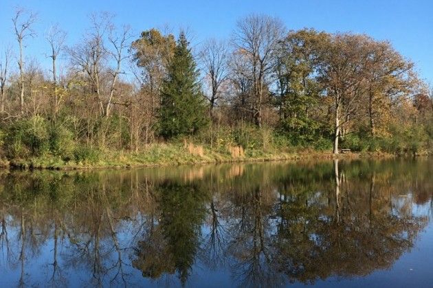 NuvoIndy's tweet photo. Take advantage of free admission to Indiana State Parks on #BlackFriday. https://t.co/NCN5nxOwJH https://t.co/LCmxBv5ckx