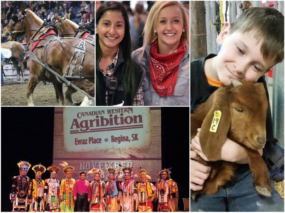 BradWall306's tweet photo. Welcome all to #YQR &amp; SK for 2016 @Agribition. SK is proud to host one of top ag excellence &amp; agribusiness trade shows on the planet. #CWA16 https://t.co/9XSfSer9r8