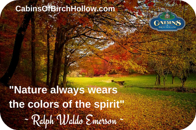 KayLHAuthor's tweet photo. Let your spirit soar with God’s creation while Mother Nature paints the world in beautiful and breathtaking colors https://t.co/aAmXplAZ2u https://t.co/PAgj5MjK5K